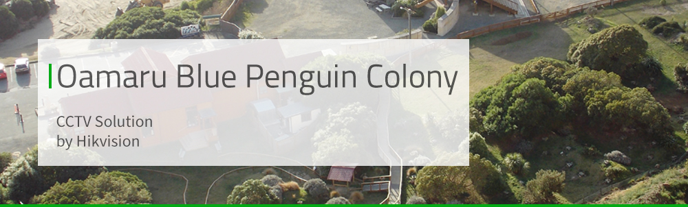 Oamaru Blue Penguin Colony Solutions Oamaru Blue Penguin Colony Solutions Banner